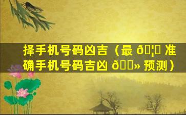 择手机号码凶吉（最 🦋 准确手机号码吉凶 🌻 预测）